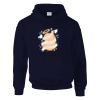 DryBlend® adult hooded sweatshirt Thumbnail