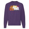 Classic 80/20 raglan sweatshirt Thumbnail